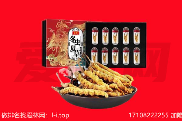 中卫回收虫草.jpg